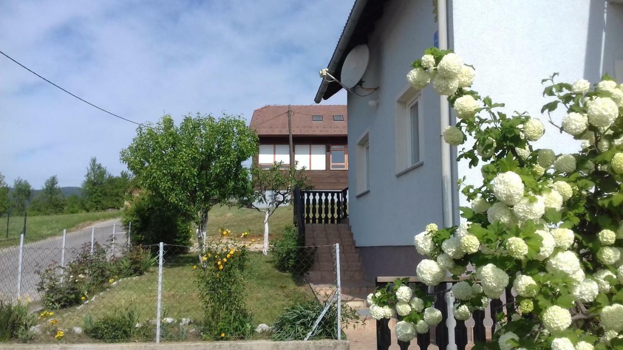 Apartment Dolores